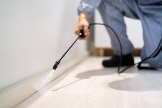 Licensed Termite Control service in Kinston, NC - Nex Pest Control