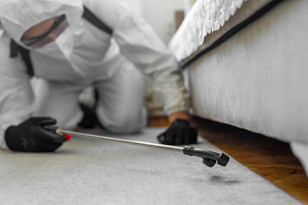 Professional Termite Control technician working in Kinston, NC