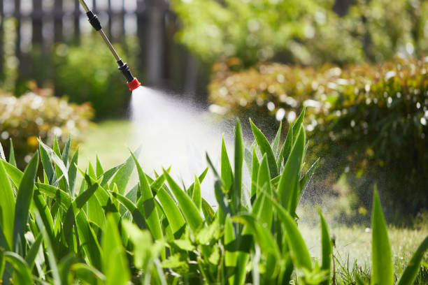 24/7 Emergency Termite Control experts in Kinston, NC