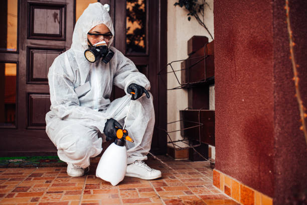 Reliable Termite Control contractor in Kinston, NC by Nex Pest Control